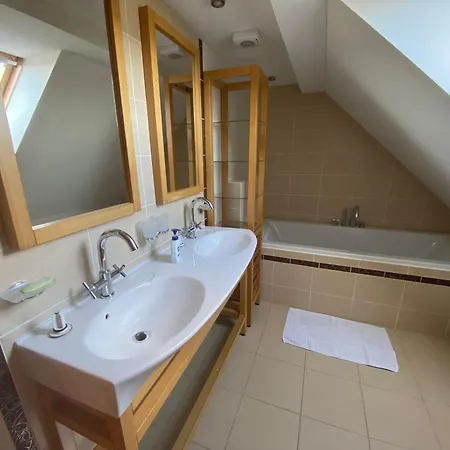 Wellness Labska Holiday home *