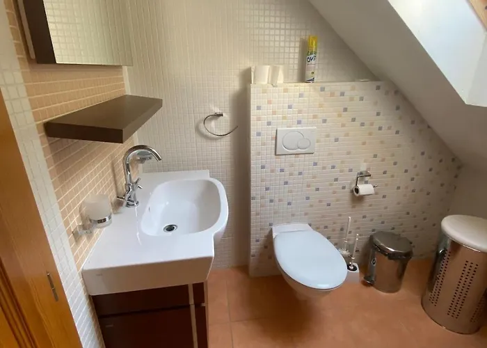 Prázdninový dům Wellness Labska Špindlerŭv Mlýn