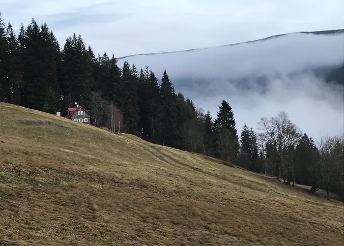 Wellness Labska